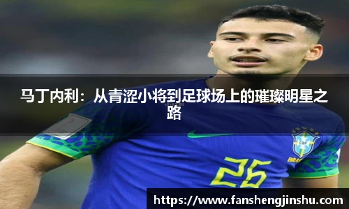 法甲联赛在线直播免费观看