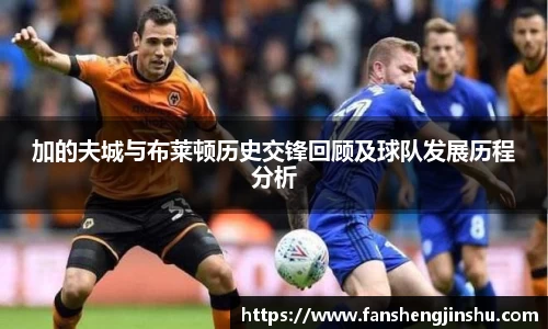 法甲直播免费在线高清